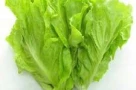 4 dấu hiệu vạch trần xà lách "tắm" thuốc sâu, đừng thấy tươi ngon mà mua