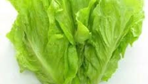 4 dấu hiệu vạch trần xà lách "tắm" thuốc sâu, đừng thấy tươi ngon mà mua