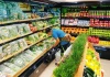 Cán bộ công chức nghỉ việc sớm, có 300 triệu vốn nên làm gì để kiếm tiền?