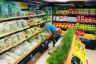 Cán bộ công chức nghỉ việc sớm, có 300 triệu vốn nên làm gì để kiếm tiền?