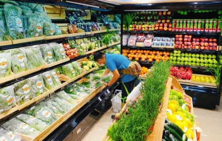Cán bộ công chức nghỉ việc sớm, có 300 triệu vốn nên làm gì để kiếm tiền?