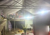 Xót xa hoàn cảnh người phụ nữ tử vong khi bò trên dây điện: Trầm cảm sau sinh, gia đình không có đất tổ chức tang lễ