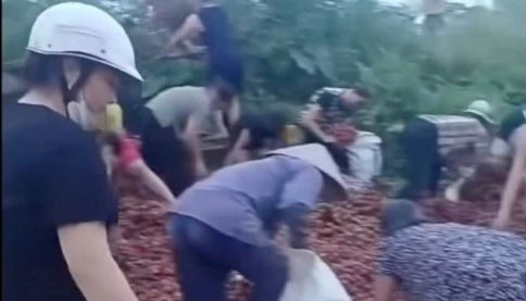 Sự thật vụ tranh nhau 'hôi của' 4 tấn vải khi xe lao xuống vực