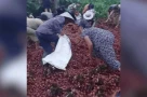 "Phát khóc khi thấy bà con lấy gần hết hàng": Nỗi buồn sau tai nạn không chỉ đến từ chiếc xe tải chở vải bị lật