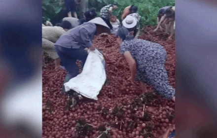 Đằng sau câu chuyện chiếc xe tải chở vải bị lật