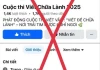 'Chữa lành' cũng bị lừa: Khi 'chữa lành' gặp chữa rách tâm hồn
