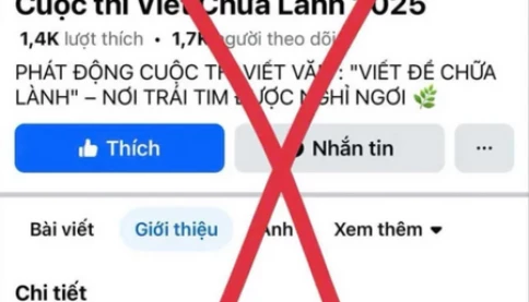 'Chữa lành' cũng bị lừa: Khi 'chữa lành' gặp chữa rách tâm hồn