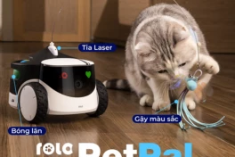 Xuất hiện robot camera chăm sóc thú cưng tại Việt Nam, có thể quan sát, trò chuyện thậm chí cho ăn từ xa