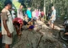 Indonesia tìm thấy thithe người đàn ông trong... bụng con trăn dài gần 9 mét