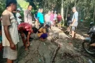 Indonesia tìm thấy thithe người đàn ông trong... bụng con trăn dài gần 9 mét