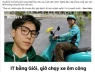Thể loại truyền thông bất chấp