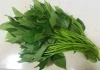 Loại rau rẻ tiền, luộc hay xào rất ngon, lại tốt cho sức khỏe nhưng đang bị bỏ quên
