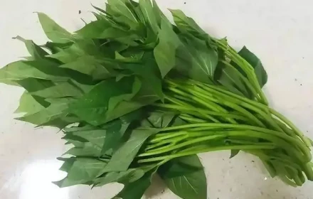 Loại rau rẻ tiền, luộc hay xào rất ngon, lại tốt cho sức khỏe nhưng đang bị bỏ quên