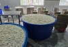 Cảnh sát kiểm tra kho chân gà 13 tấn, phát hiện sự thật khó chấp nhận
