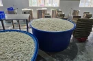 Cảnh sát kiểm tra kho chân gà 13 tấn, phát hiện sự thật khó chấp nhận