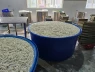 Cảnh sát kiểm tra kho chân gà 13 tấn, phát hiện sự thật khó chấp nhận