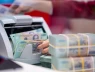 Hướng dẫn nộp thuế cho thuê tài sản khi hệ thống hiển thị mã định danh thay MST