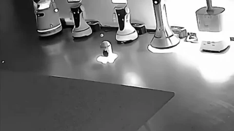 Robot AI ở Trung Quốc "rủ rê" đồng loại nghỉ việc hàng loạt, chủ nhân chỉ biết khóc ròng