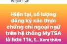 Hơn 11k thí sinh có IELTS 6.0 trở lên đăng ký ĐH Bách Khoa HN, học giỏi khoa tự nhiên mà Tiếng Anh cũng ok quấ