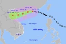 Bão Wipha mạnh lên cấp 12 giật cấp 15, hướng vào Quảng Ninh - Thanh Hóa
