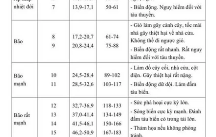 📢 Bão Wipha: Mức độ nguy hiểm của từng cấp gió người dân cần nắm rõ để ứng phó