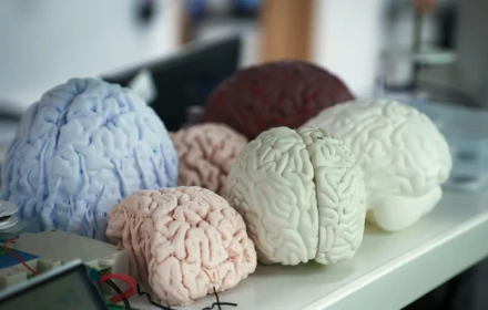 Trung Quốc đang bắt kịp Mỹ về công nghệ não bộ, cạnh tranh ngang ngửa với các công ty như Neuralink của Elon Musk