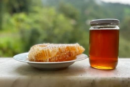 Chỉ có hai nơi trên thế giới có loại “mật ong điên” cực hiếm