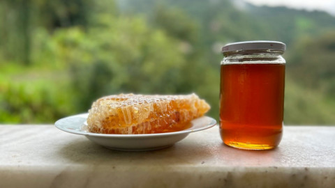 Chỉ có hai nơi trên thế giới có loại “mật ong điên” cực hiếm