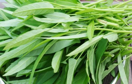 Rau muống và sự thật về khả năng tích tụ kim loại nặng