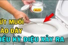 Đổ muối vào bồn cầu: Việc nhỏ nhưng lợi ích lớn