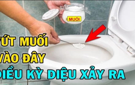 Đổ muối vào bồn cầu: Việc nhỏ nhưng lợi ích lớn