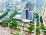 Xây dựng Nghị định về thôn, tổ dân phố; chế độ, chính sách đối với người hoạt động không chuyên trách