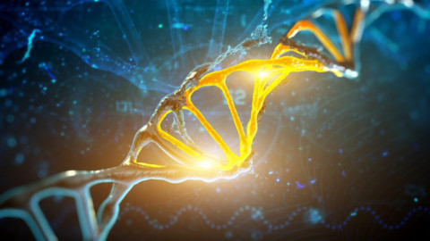 Lần đầu phát hiện những gene ẩn mình tại vùng "DNA rác" trong chuỗi DNA con người