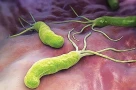 Nghiên cứu quốc tế mới nhất dự đoán rằng vi khuẩn Helicobacter pylori có thể khiến hơn 11 triệu người trên toàn thế giới mắc bệnh ung thư dạ dày