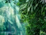 Mối lo ngại của ông Tập Cận Bình