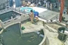 Chồng mải chăm cá quên đón con, vợ đạp chồng xuống hồ