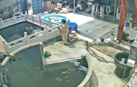 Chồng mải chăm cá quên đón con, vợ đạp chồng xuống hồ