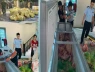 Nóng! Bắt 4 đối tượng liên quan vụ tiêu thụ lợn mắc dịch bệnh ở Thanh Hóa
