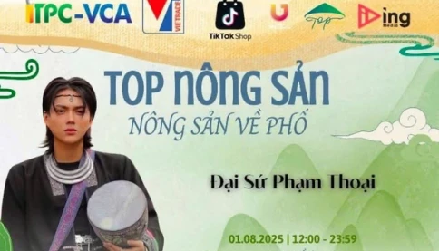 Phạm Thoại bị phạt 7,5 triệu đồng vì mạo xưng Đại sứ
