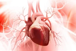 Phát hiện tim người có "bộ não" riêng