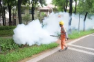 Dịch virus Chikungunya bùng phát ở Trung Quốc! Việt Nam ta nên cận trọng