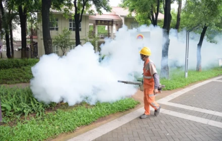 Dịch virus Chikungunya bùng phát ở Trung Quốc! Việt Nam ta nên cận trọng