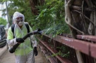 Bệnh chikungunya lan rộng toàn cầu, đe dọa hàng tỉ người