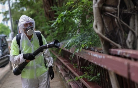 Bệnh chikungunya lan rộng toàn cầu, đe dọa hàng tỉ người