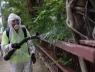 Bệnh chikungunya lan rộng toàn cầu, đe dọa hàng tỉ người