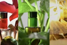 Các "pháp sư Trung Hoa" đạt bước tiến lớn về vật liệu, hứa hẹn biến áo tàng hình thành sự thật