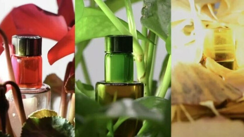 Các "pháp sư Trung Hoa" đạt bước tiến lớn về vật liệu, hứa hẹn biến áo tàng hình thành sự thật