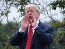 Trump cân nhắc trao đổi lãnh thổ giữa Nga và Ukraine