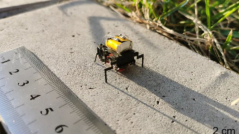 "Pháp sư Trung Hoa" phát triển thành công robot côn trùng siêu nhỏ, di chuyển nhanh hơn cả gián