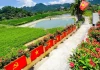 Con đường cờ hoa dài 40m ở Nghệ An thu hút sự quan tâm dịp Quốc khánh